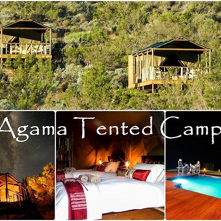 Agama Tented Camp Garies ภายนอก รูปภาพ