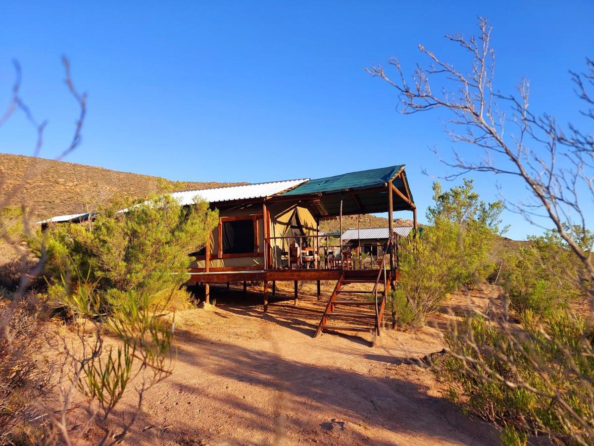 Agama Tented Camp Garies ภายนอก รูปภาพ