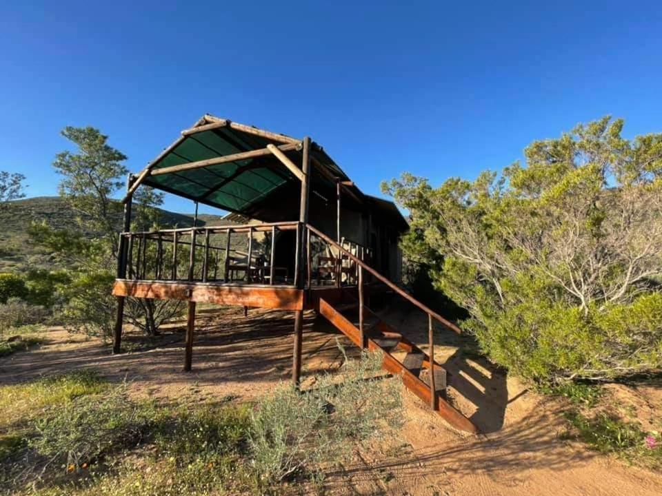 Agama Tented Camp Garies ภายนอก รูปภาพ