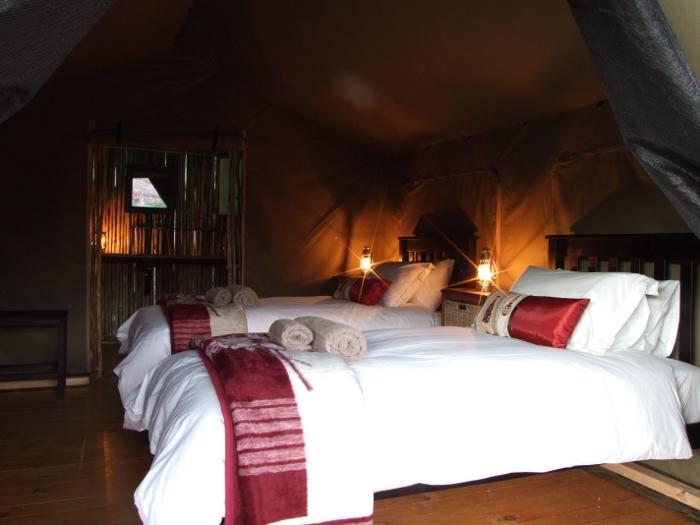 Agama Tented Camp Garies ภายนอก รูปภาพ