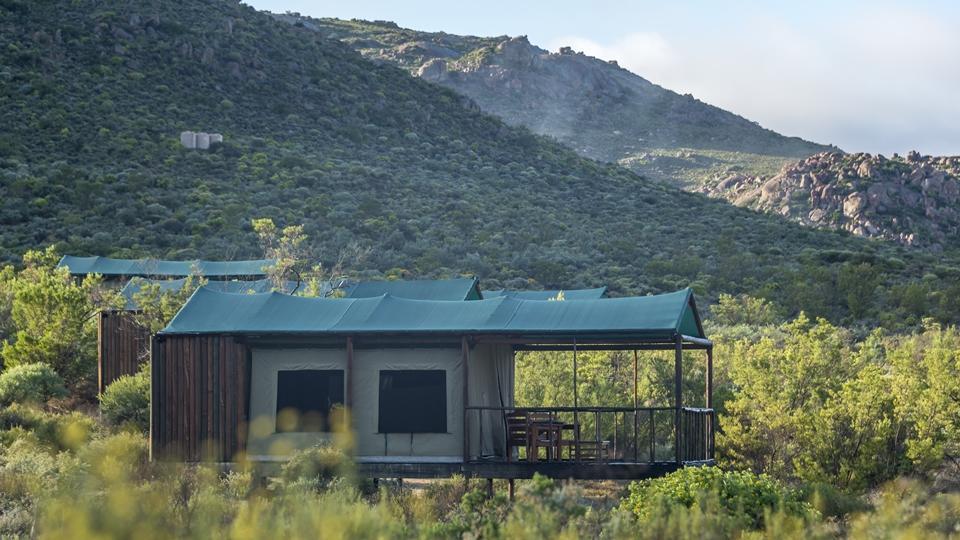 Agama Tented Camp Garies ภายนอก รูปภาพ