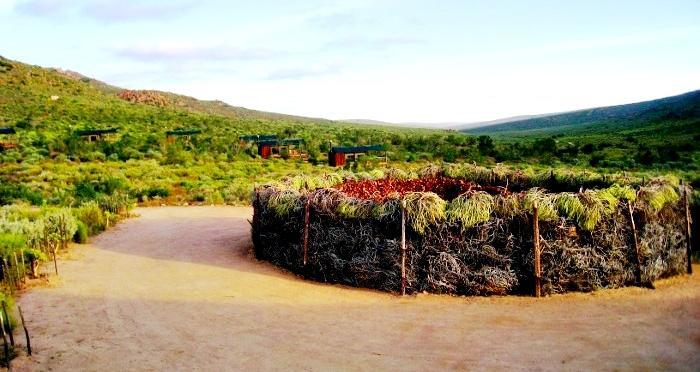 Agama Tented Camp Garies ภายนอก รูปภาพ