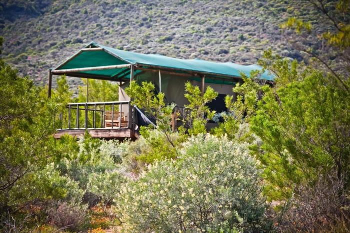 Agama Tented Camp Garies ภายนอก รูปภาพ