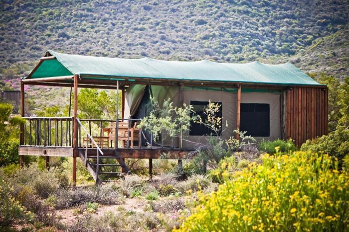 Agama Tented Camp Garies ภายนอก รูปภาพ