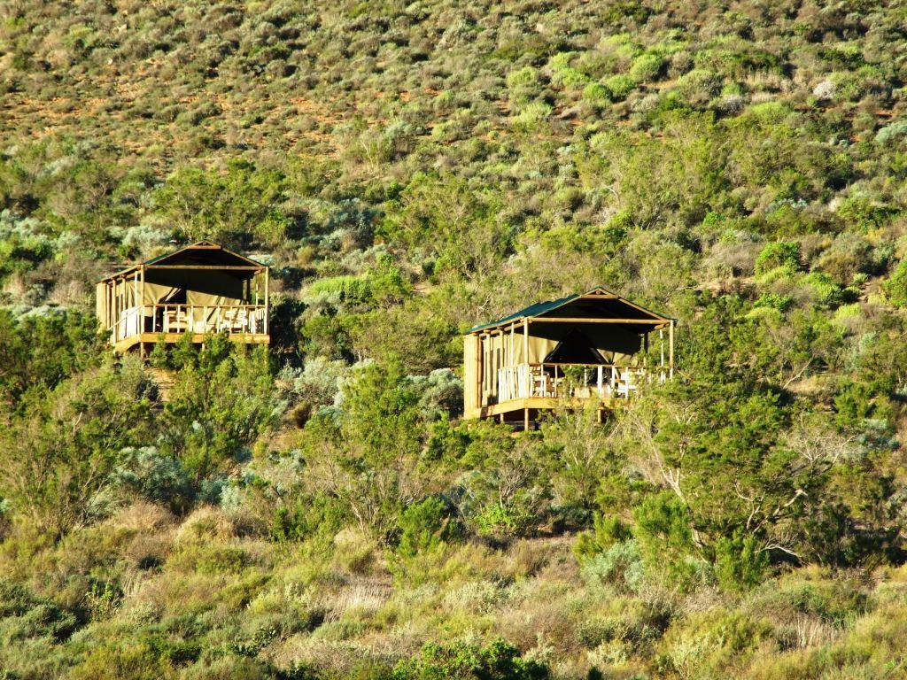 Agama Tented Camp Garies ภายนอก รูปภาพ