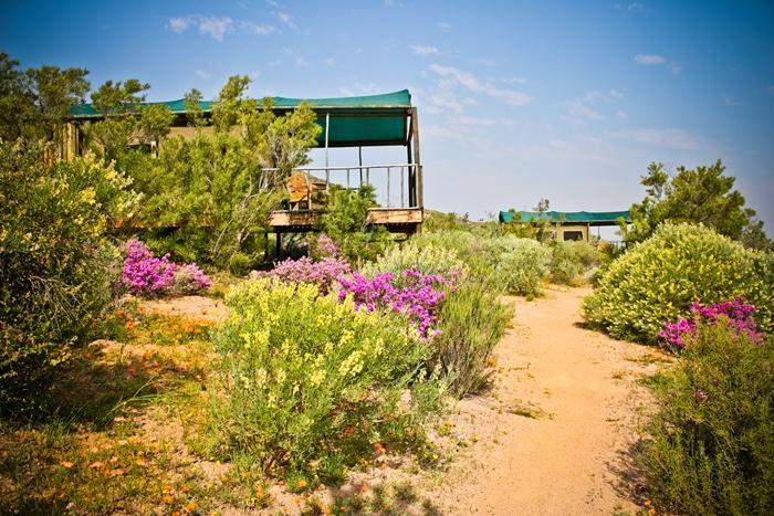 Agama Tented Camp Garies ภายนอก รูปภาพ